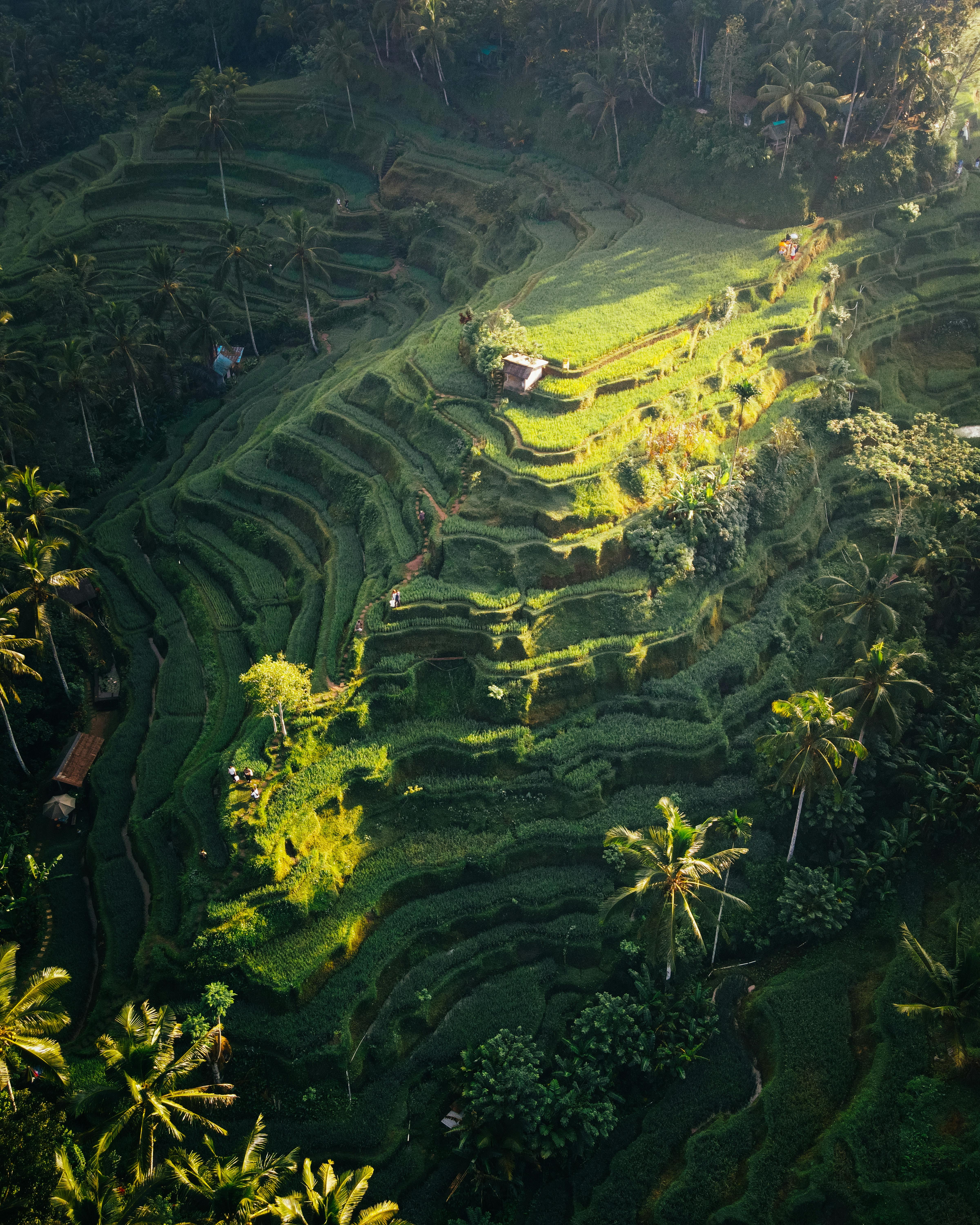 Ubud