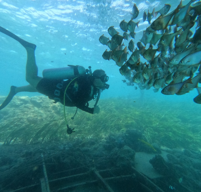 SCUBA DIVING