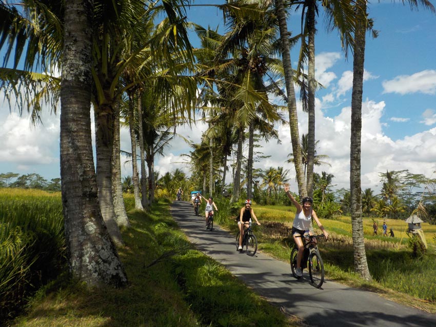 ELECTRIC CYCLING TOUR